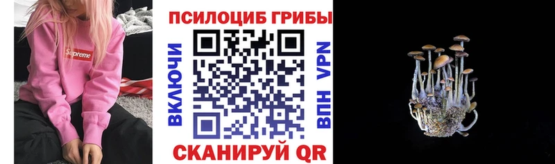 OMG маркетплейс  Сусуман  Галлюциногенные грибы мухоморы  где можно купить  